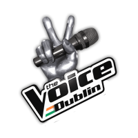 The Voice Dublin 2